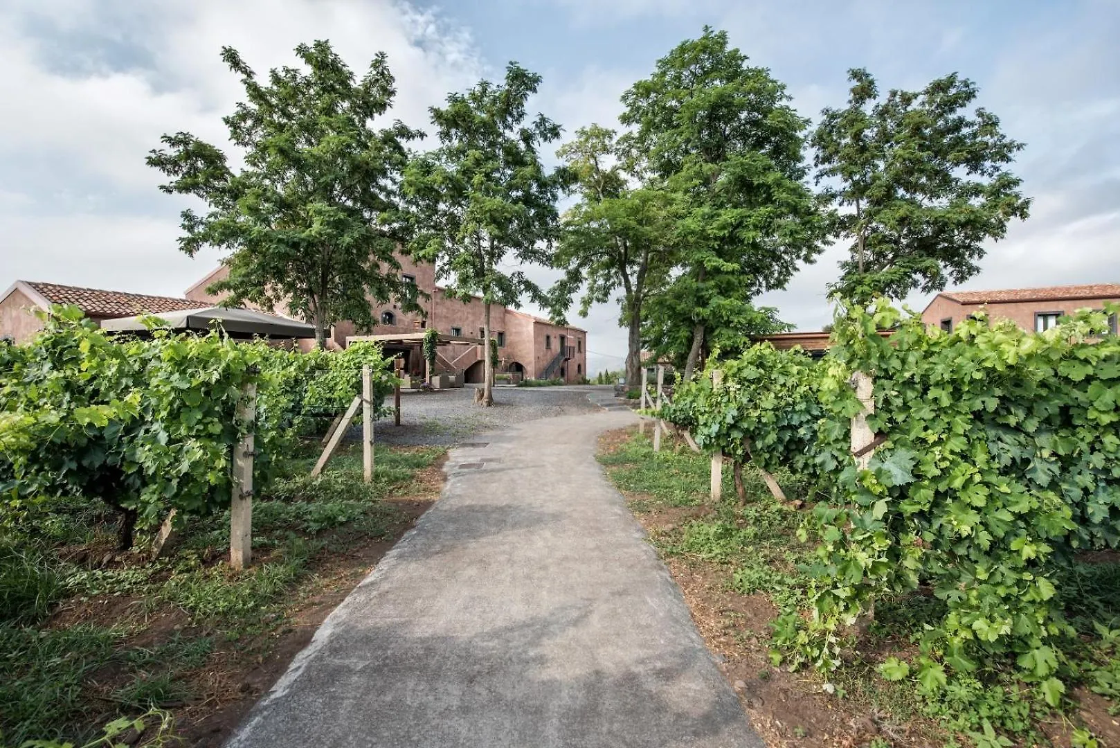 Firriato Hospitality Cavanera Etnea Resort & Wine Experience Castiglione De Sicilia